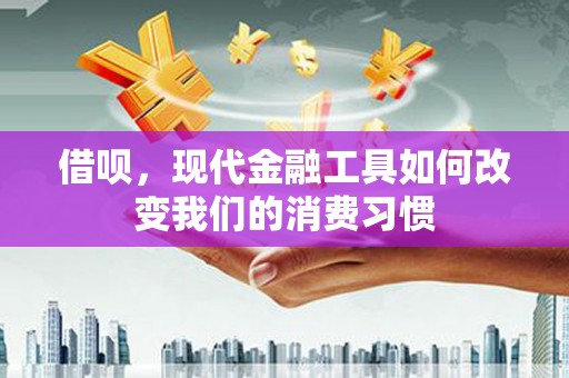 河源借呗，现代金融工具如何改变我们的消费习惯