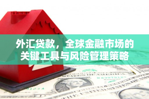 河源外汇贷款，全球金融市场的关键工具与风险管理策略