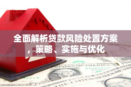 河源全面解析贷款风险处置方案，策略、实施与优化