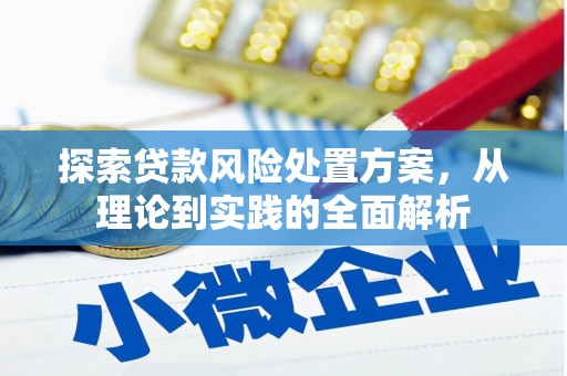 河源探索贷款风险处置方案，从理论到实践的全面解析