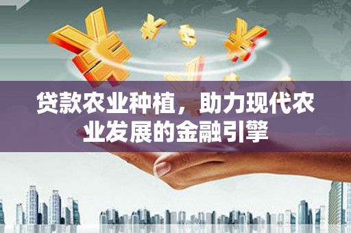 河源贷款农业种植，助力现代农业发展的金融引擎