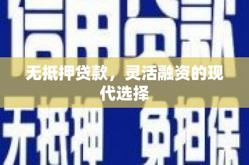 河源无抵押贷款，灵活融资的现代选择