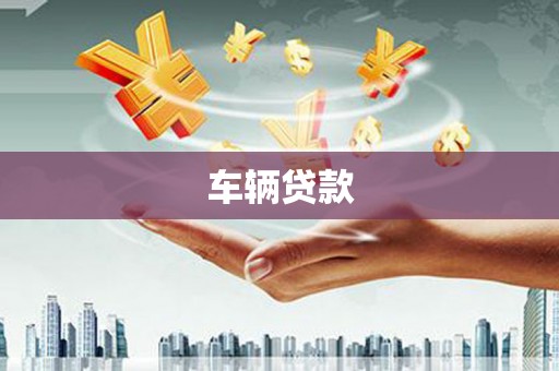河源车辆贷款