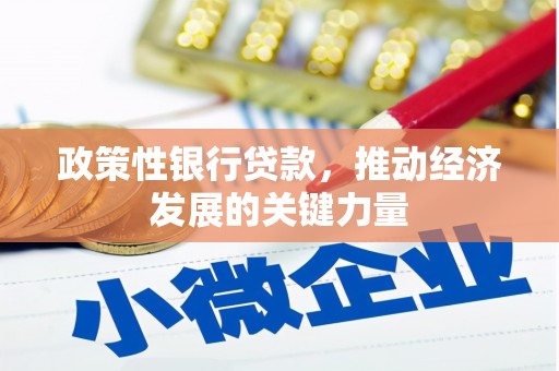 河源政策性银行贷款，推动经济发展的关键力量