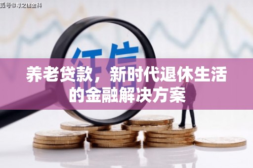 河源养老贷款，新时代退休生活的金融解决方案