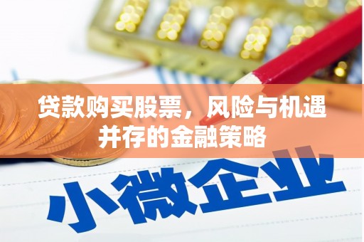 河源贷款购买股票，风险与机遇并存的金融策略