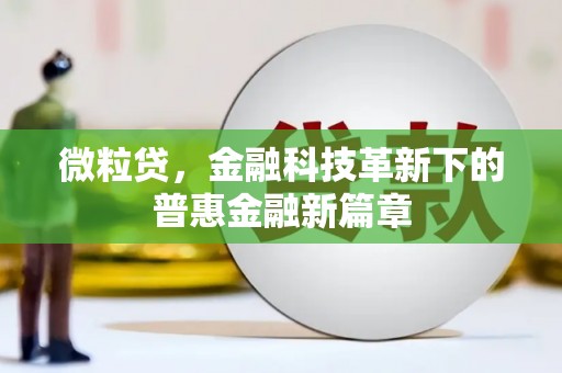 河源微粒贷，金融科技革新下的普惠金融新篇章