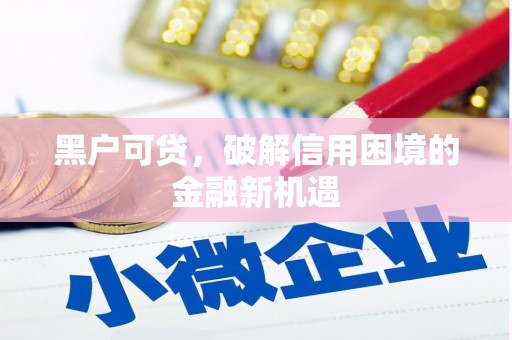 河源黑户可贷，破解信用困境的金融新机遇