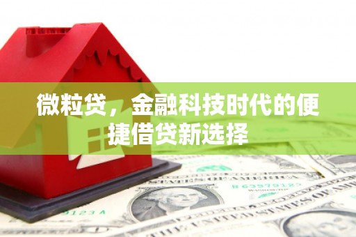 河源微粒贷，金融科技时代的便捷借贷新选择
