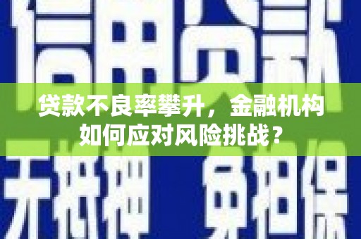 河源贷款不良率攀升，金融机构如何应对风险挑战？