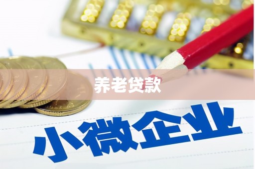 河源养老贷款