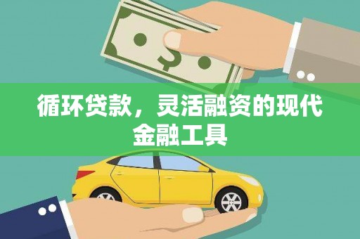 河源循环贷款，灵活融资的现代金融工具