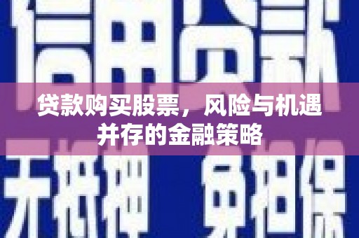 河源贷款购买股票，风险与机遇并存的金融策略