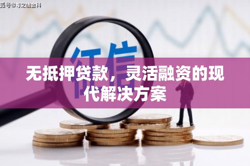 河源无抵押贷款，灵活融资的现代解决方案