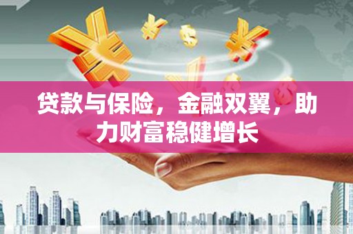 河源贷款与保险，金融双翼，助力财富稳健增长