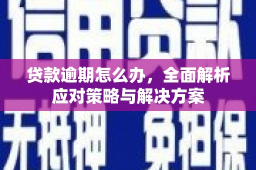 河源贷款逾期怎么办，全面解析应对策略与解决方案