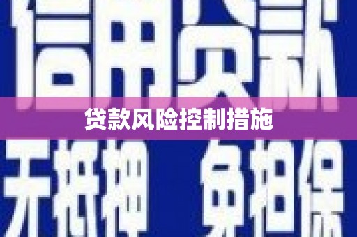 河源贷款风险控制措施